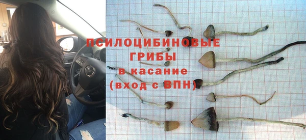 дурь Алексеевка