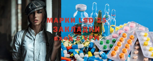 ECSTASY Алзамай
