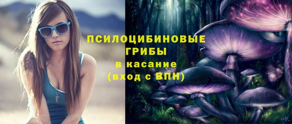 ECSTASY Алзамай
