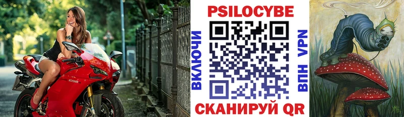 дарнет шоп Самара blacksprut ТОР Галлюциногенные грибы прущие грибы